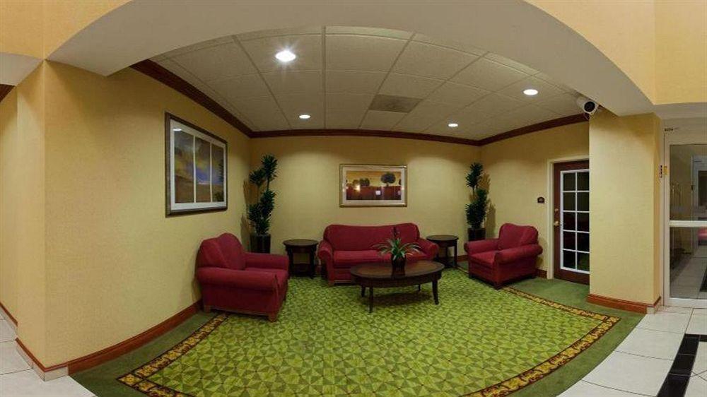 Holiday Inn Express St. Petersburg North / I-275 By Ihg Esterno foto